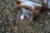 Enlarge photo 174