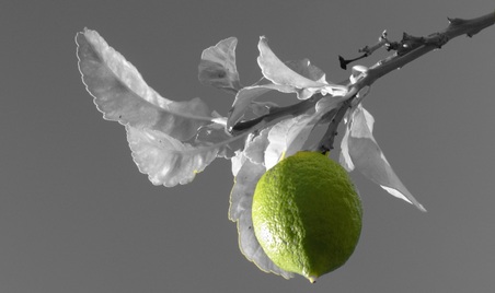 Enlarge photo 6