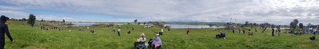 Enlarge photo 68