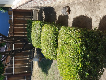 Enlarge photo 22