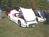 Enlarge photo 91
