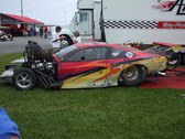 Enlarge photo 110