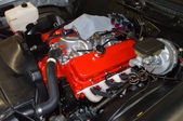Enlarge photo 43