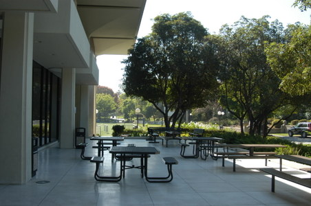 Enlarge photo 15