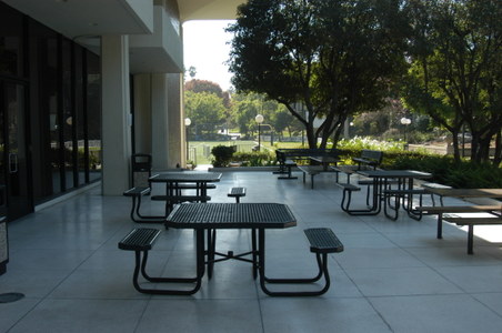 Enlarge photo 16