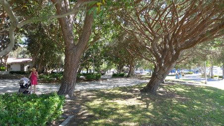 Enlarge photo 17