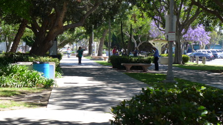Enlarge photo 20