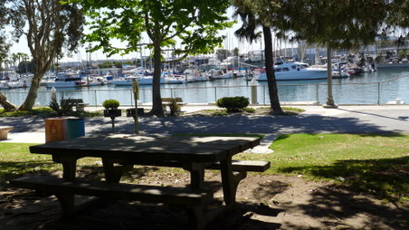 Enlarge photo 21