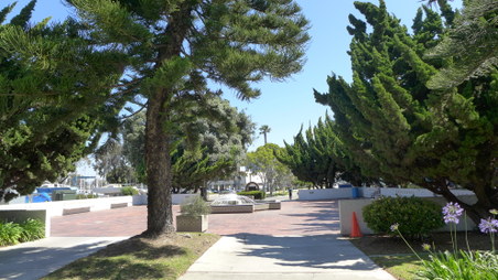 Enlarge photo 23