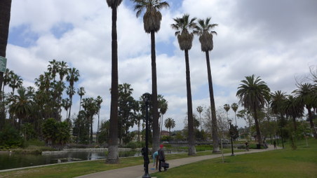 Enlarge photo 3