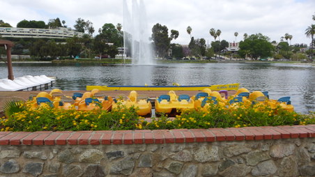 Enlarge photo 8