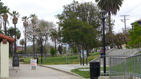 Enlarge photo 25