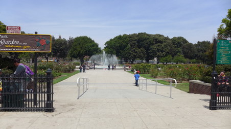 Enlarge photo 2