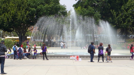 Enlarge photo 4