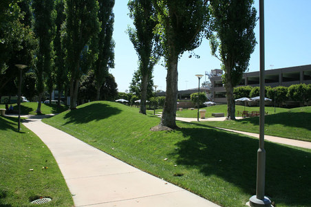 Enlarge photo 12