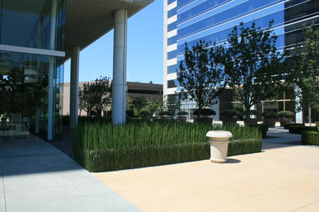 Enlarge photo 21