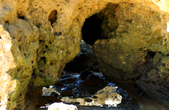 Enlarge photo 33