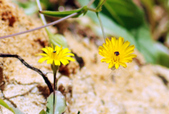 Enlarge photo 35