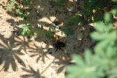 Enlarge photo 37