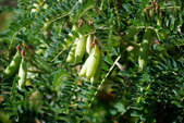 Enlarge photo 38