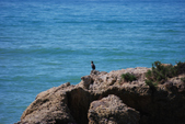 Enlarge photo 41