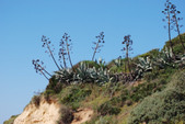 Enlarge photo 43