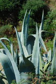 Enlarge photo 44