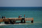 Enlarge photo 47