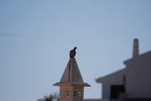 Enlarge photo 53