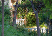 Enlarge photo 55