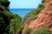 Enlarge photo 76
