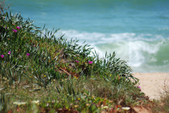 Enlarge photo 77