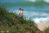 Enlarge photo 78