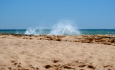 Enlarge photo 79