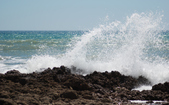Enlarge photo 82