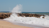 Enlarge photo 83