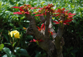 Enlarge photo 102