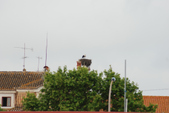 Enlarge photo 114