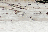 Enlarge photo 128