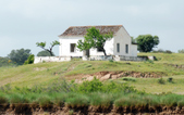 Enlarge photo 140