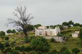 Enlarge photo 142