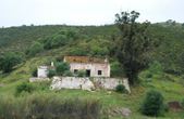 Enlarge photo 146