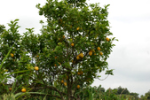 Enlarge photo 149