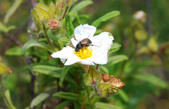 Enlarge photo 154