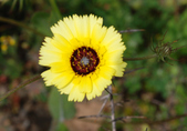 Enlarge photo 155