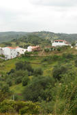 Enlarge photo 161