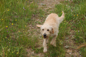 Enlarge photo 162