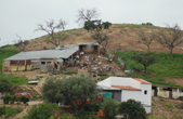 Enlarge photo 166