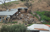 Enlarge photo 167