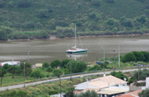 Enlarge photo 170